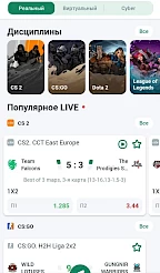 Betwinner App Screenshot