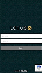 Lotusbook247 App Screenshot