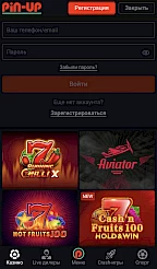 Pin up casino App Screenshot