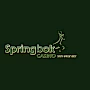 Springbok casino App